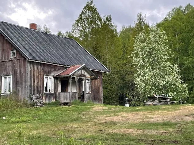 Foto: Kristin Loe Kjelstad Bilde fra Abborhøgda