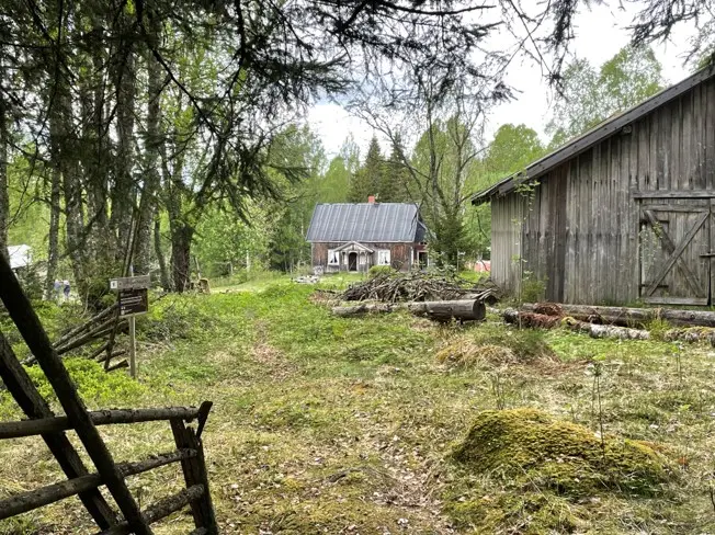 Foto: Kristin Loe Kjelstad Bilde fra Abborhøgda